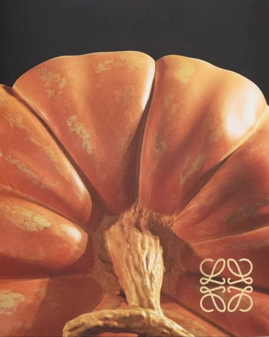 Crafted World - Jonathan Anderson’s LOEWE