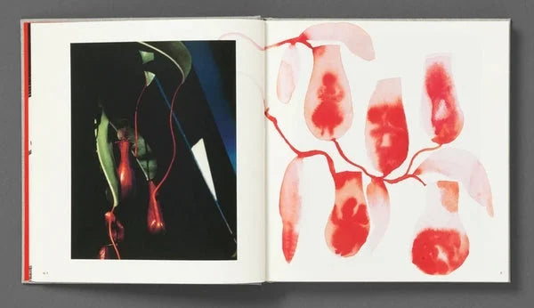 Jack Davison - Photographs *Annotated Artists Edition*