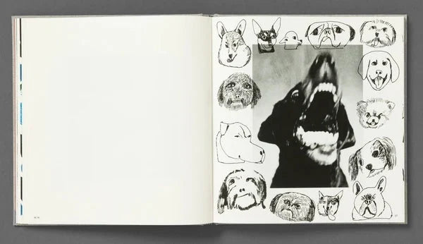 Jack Davison - Photographs *Annotated Artists Edition*