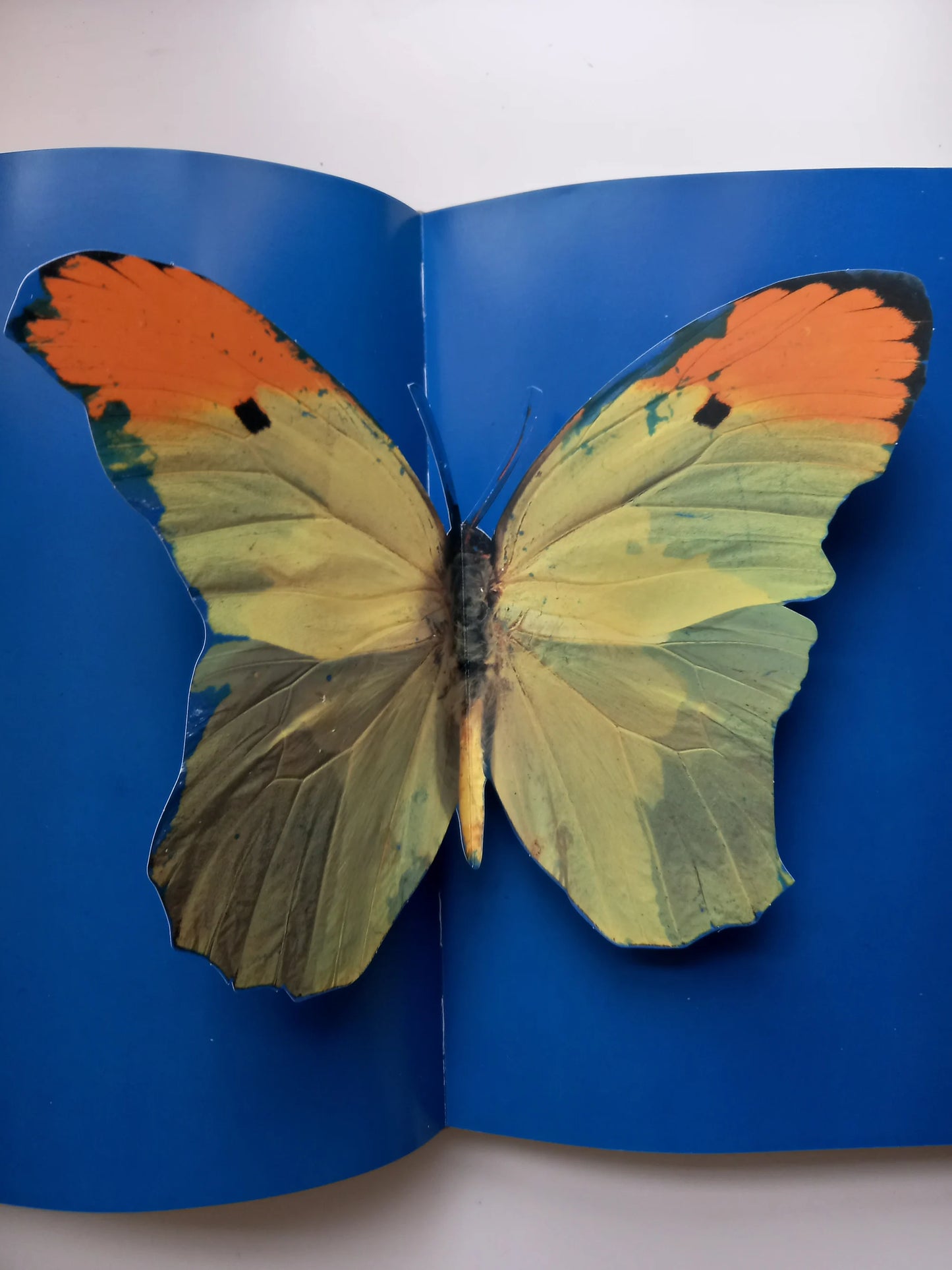 Damien Hirst - I Want To Spend The Rest of My Life Everywhere