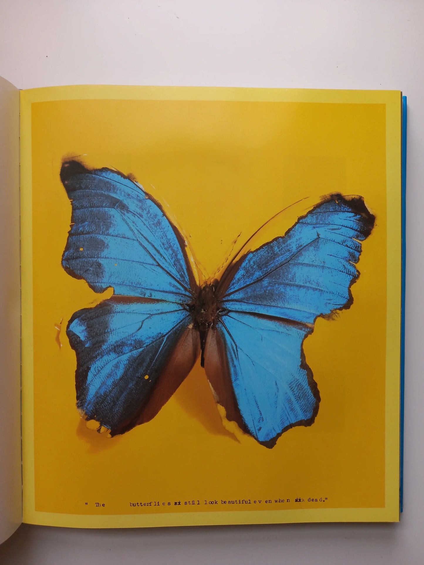 Damien Hirst - I Want To Spend The Rest of My Life Everywhere