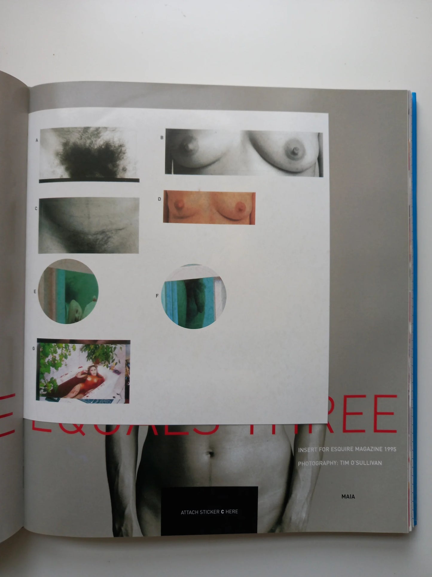 Damien Hirst - I Want To Spend The Rest of My Life Everywhere
