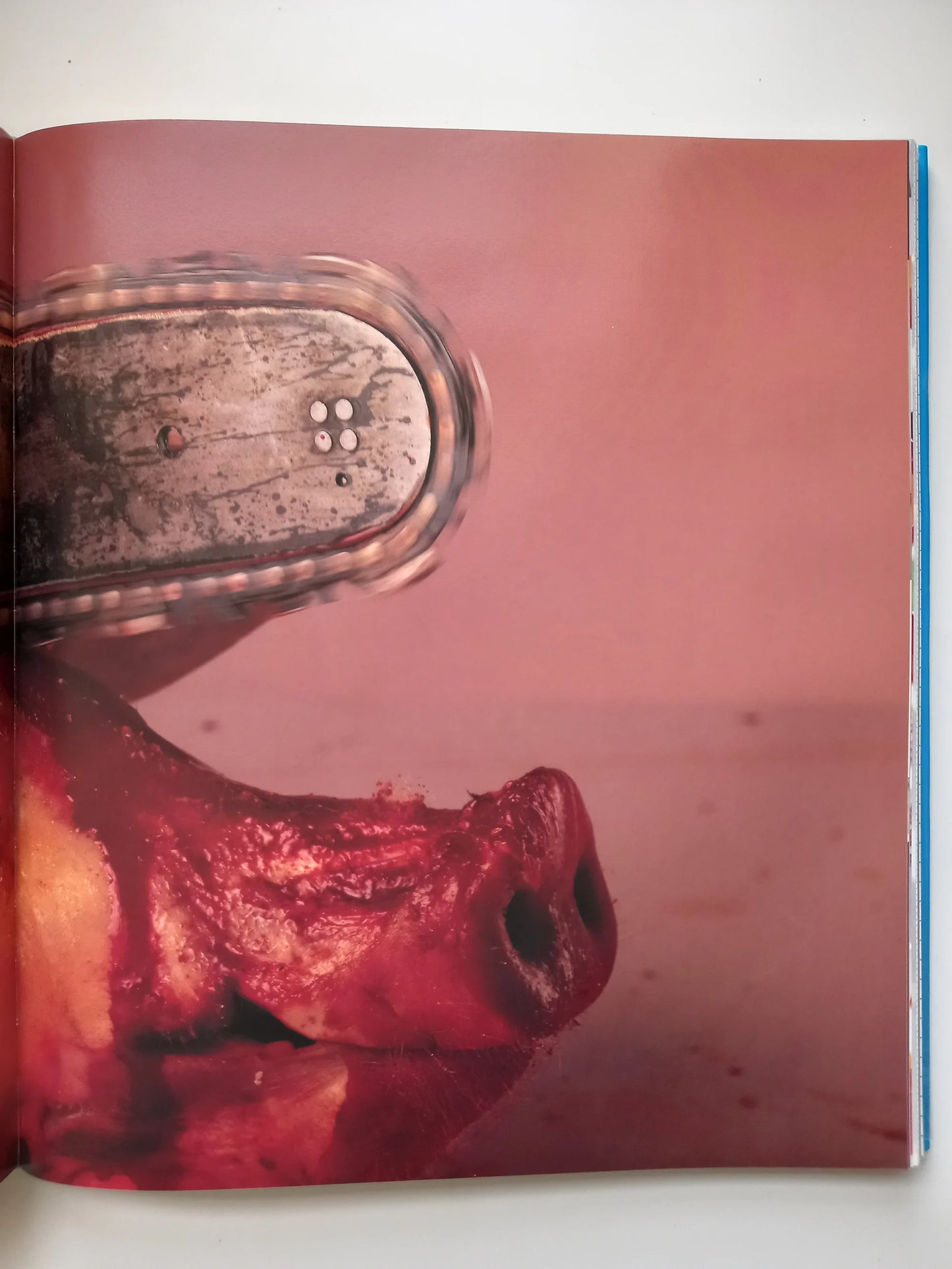 Damien Hirst - I Want To Spend The Rest of My Life Everywhere