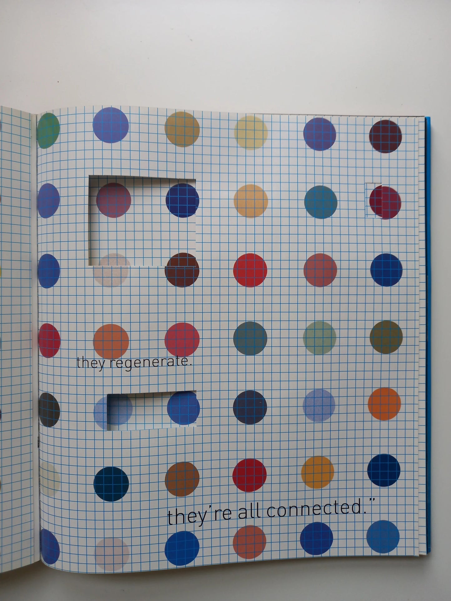 Damien Hirst - I Want To Spend The Rest of My Life Everywhere