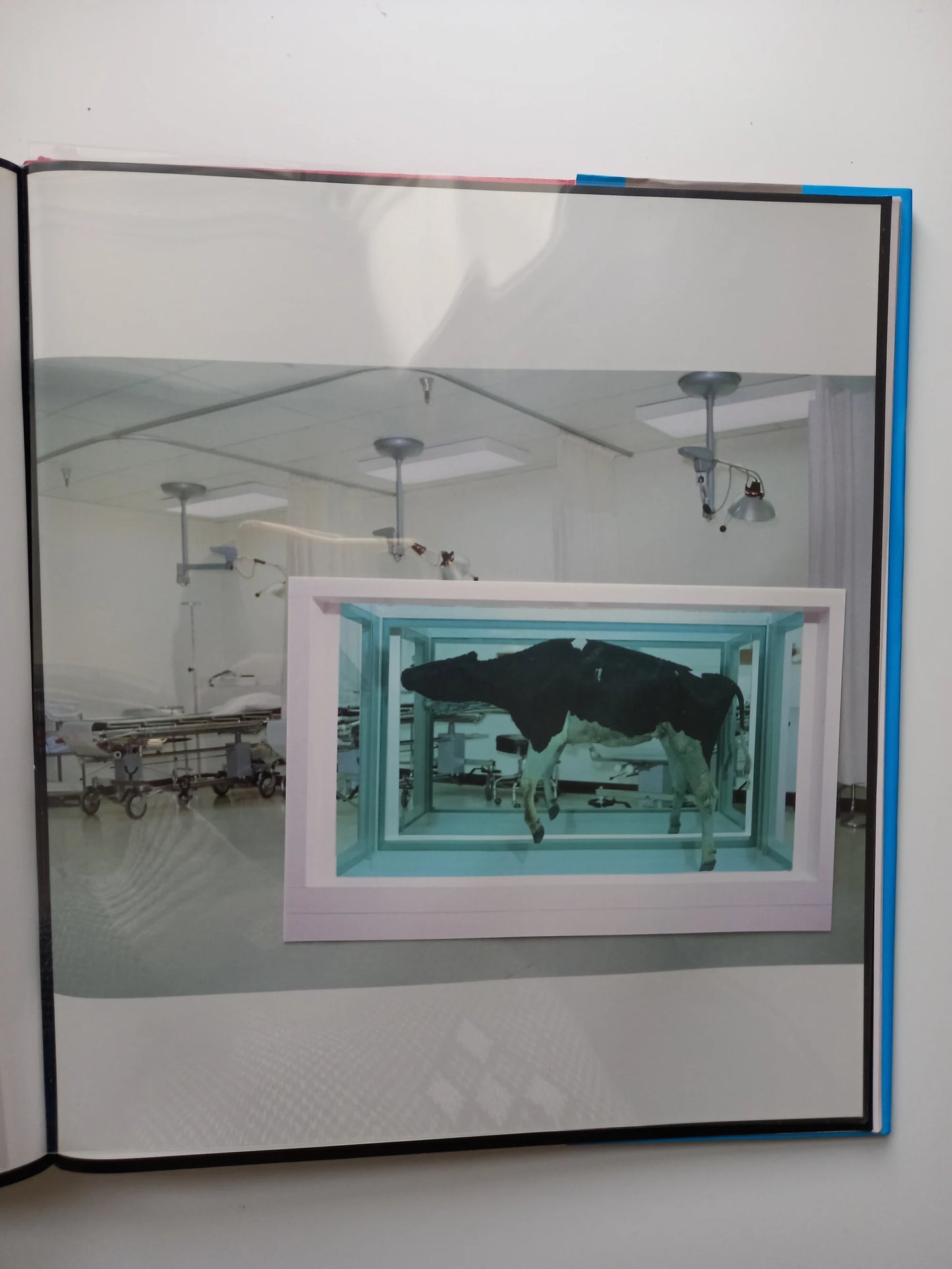 Damien Hirst - I Want To Spend The Rest of My Life Everywhere