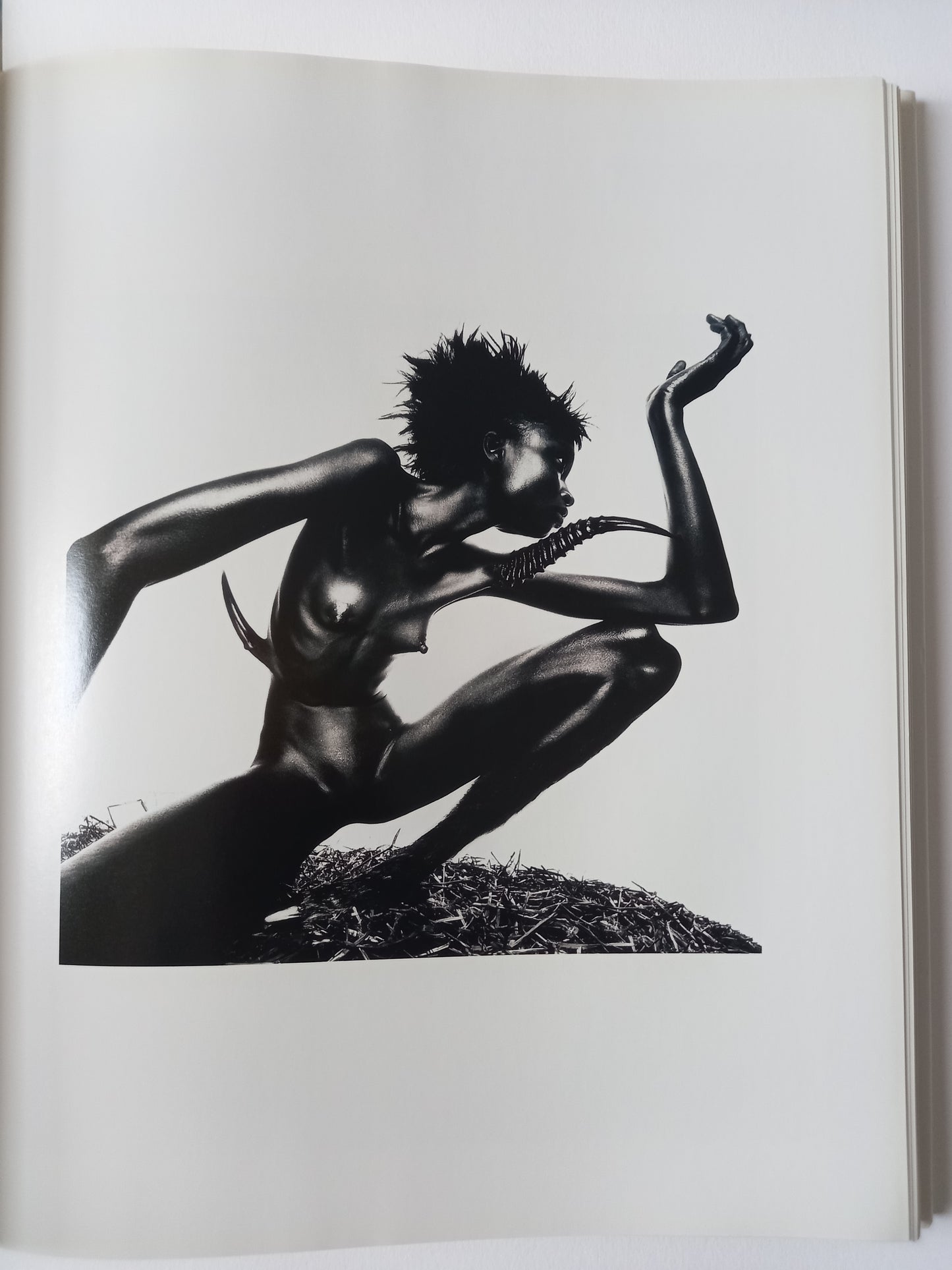 Nick Knight - Monograph