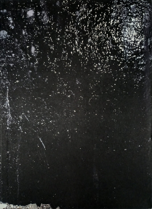 Max Pinckers - Will They Sing Like Raindrops or Leave Me Thirsty