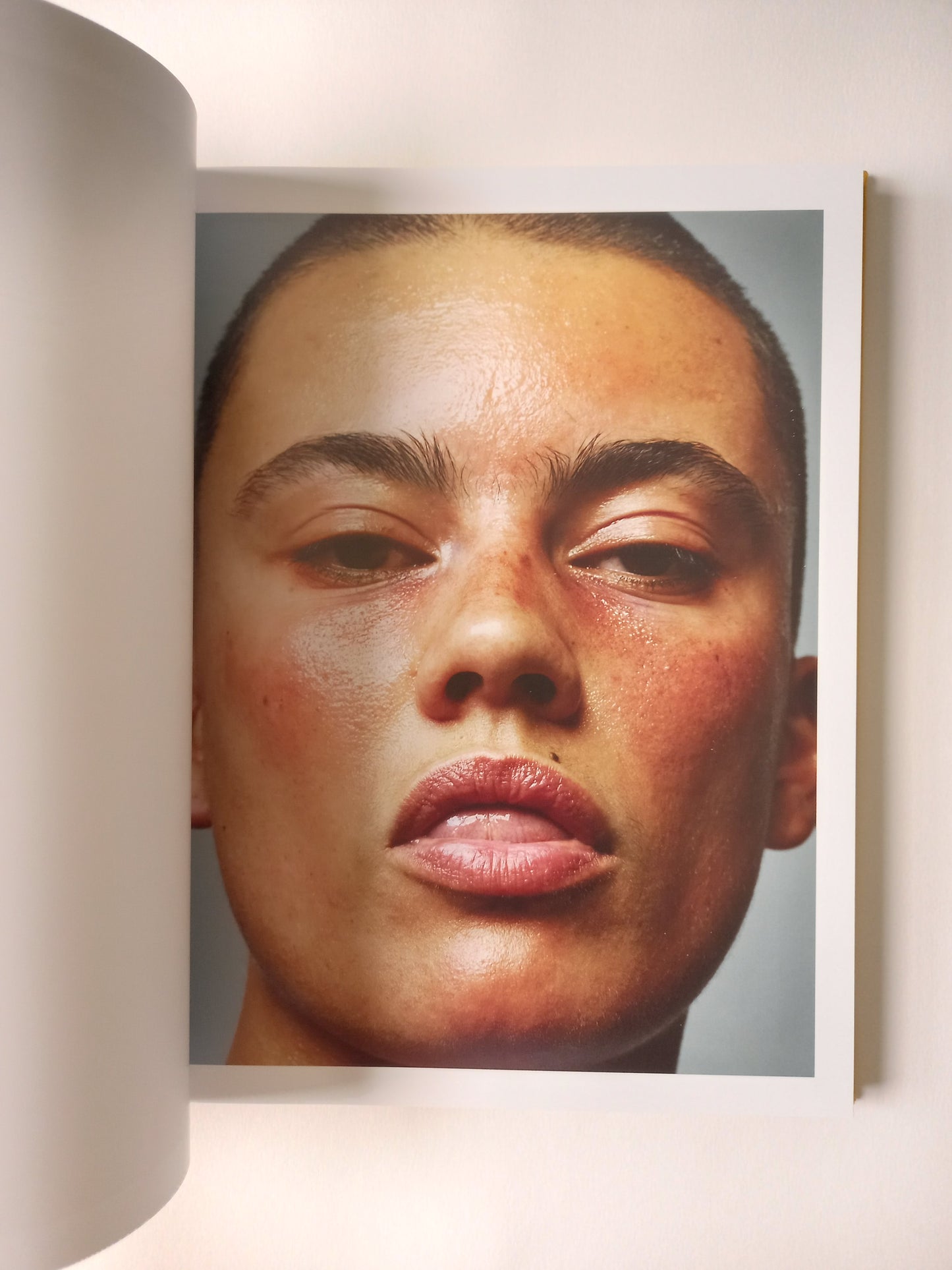 Emily Lipson - Dykes