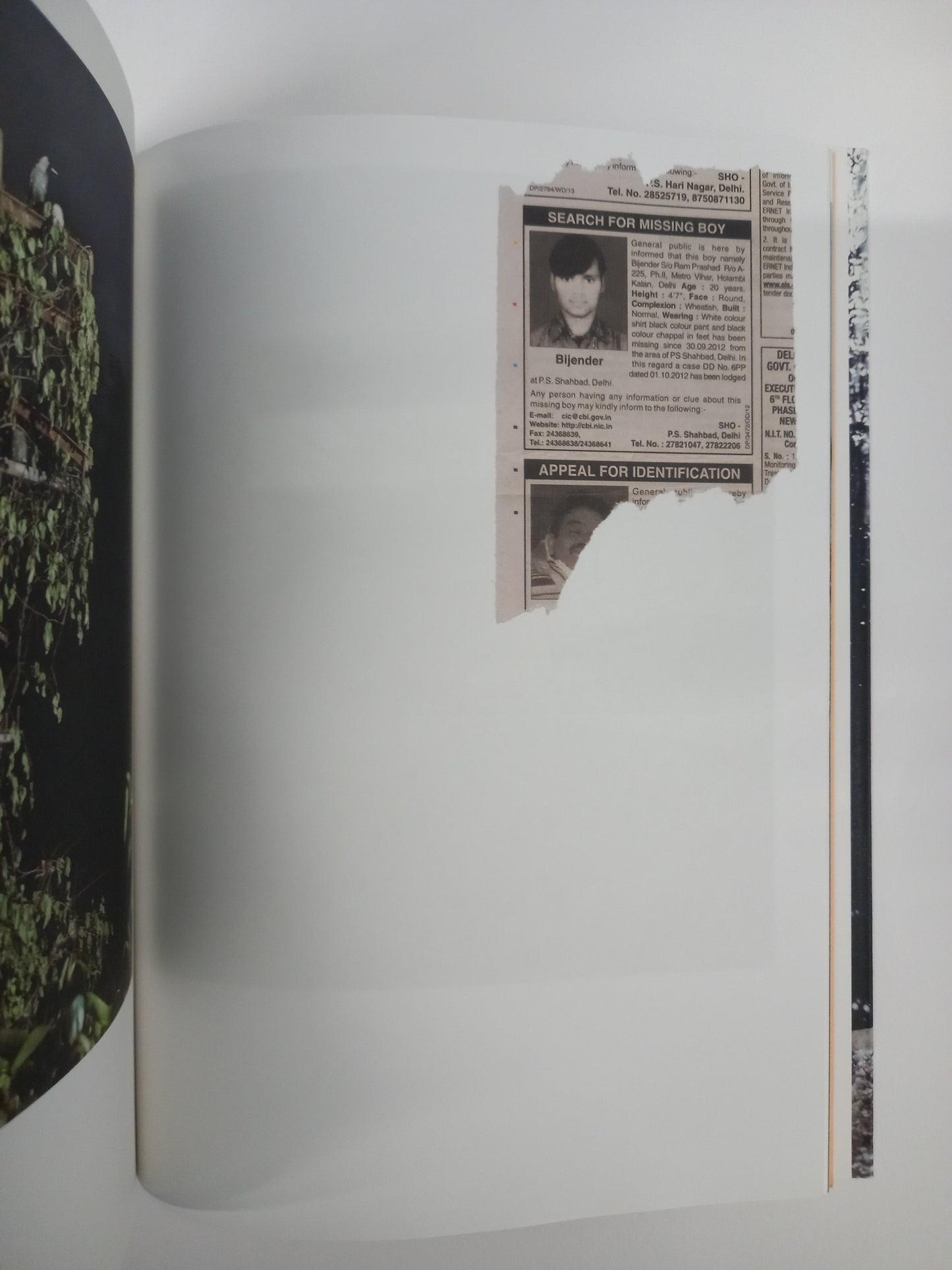 Max Pinckers - Will They Sing Like Raindrops or Leave Me Thirsty