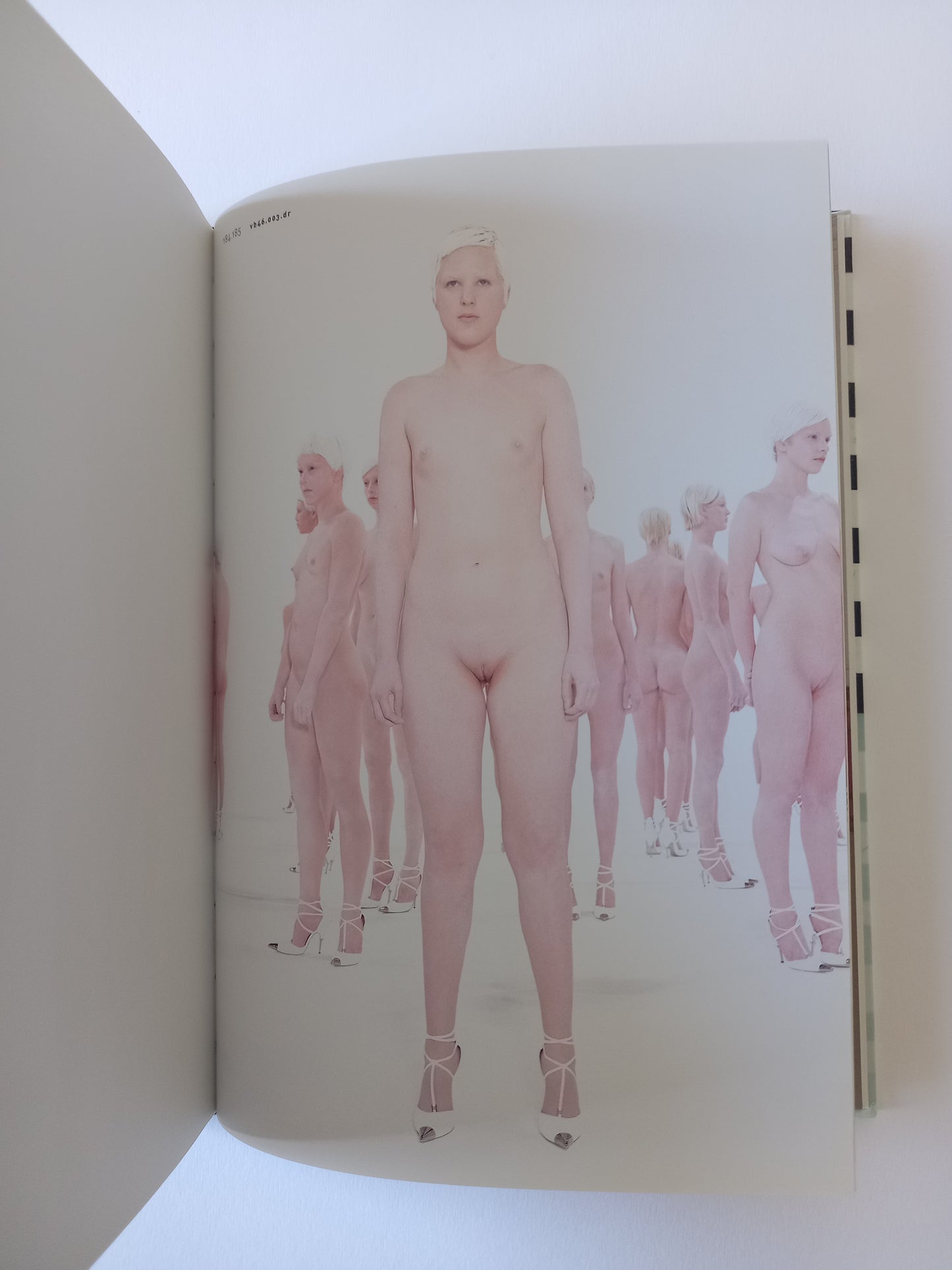 Vanessa Beecroft - Photographs, Films, Drawings