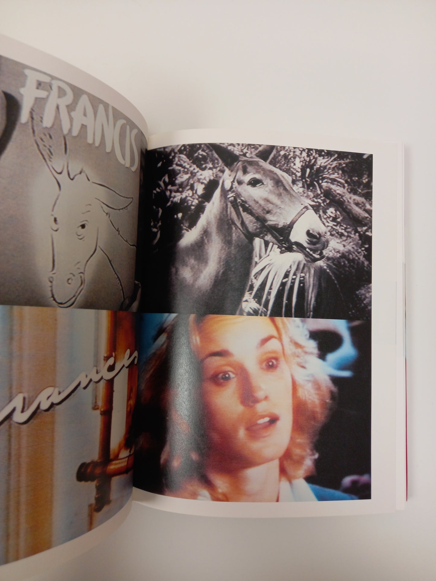 John Waters - Director's Cut