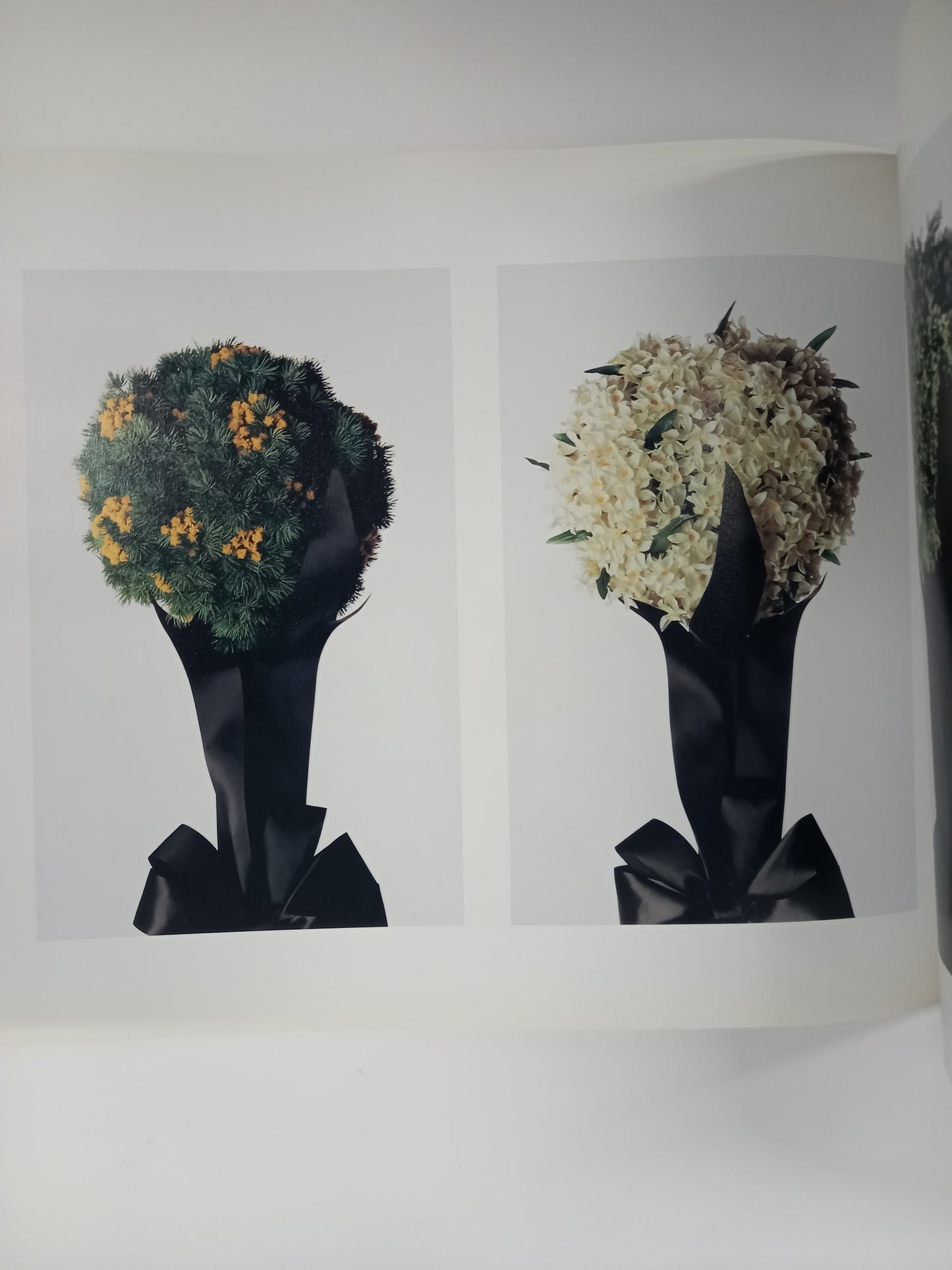 Matthew Barney - Cremaster 3